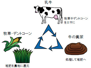 循環型酪農